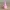 Feenprinzessin