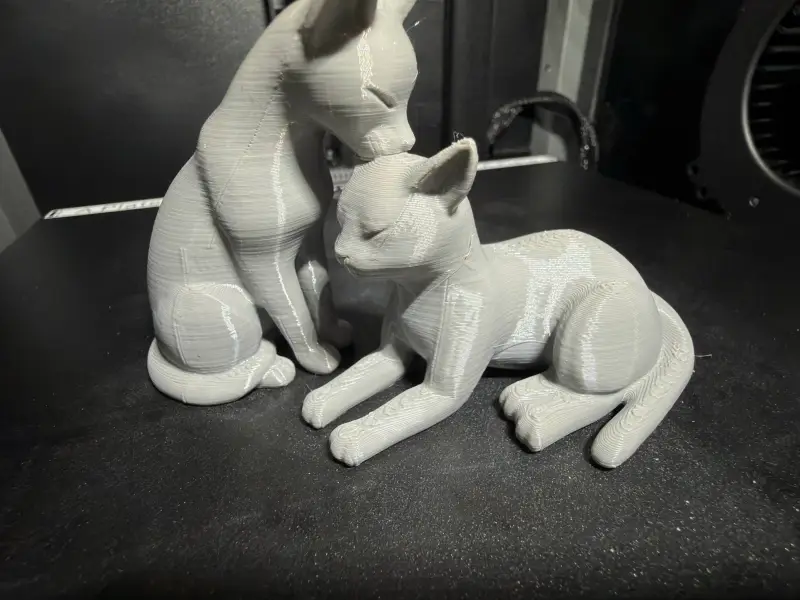 Elegant kissing cats | elegante küssende Katzen