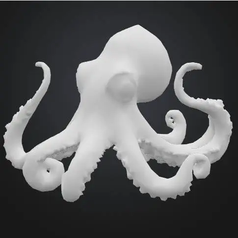 Octopus Polvo