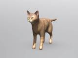 Cat-1
