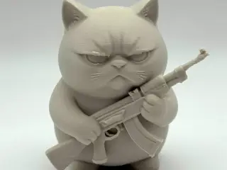 Grumpy Rifle Kitten