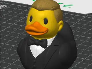 Groom Duck