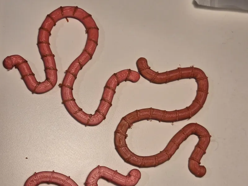 Earthworms Prank