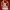 Katniss Everdeen – The Hunger Games Figurine