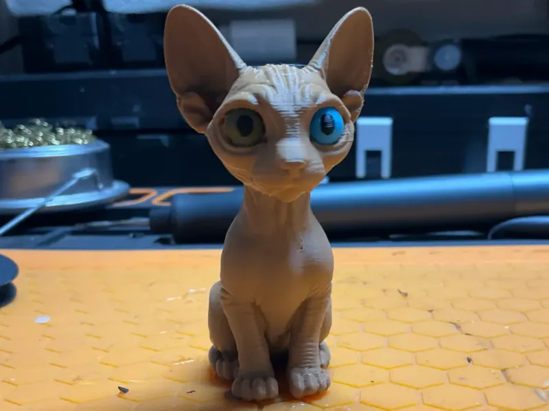 Модель кошки сфинкс