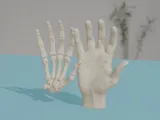 Human Hand Anatomy Bones 3D Print Model-0