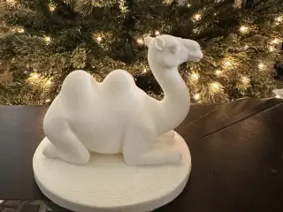 Camel 1