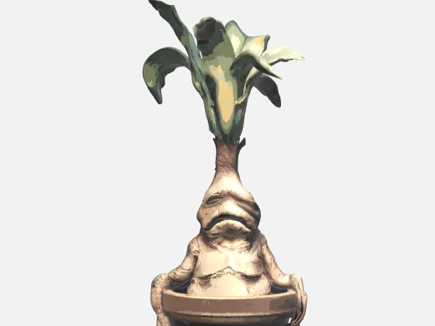 mandrake root