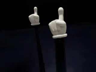 pointer finger
