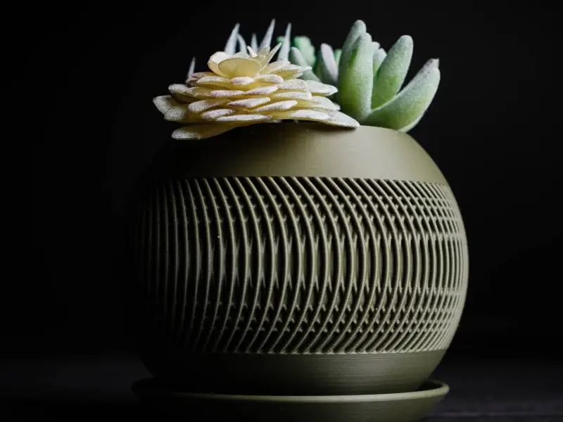 solis · plantenbak