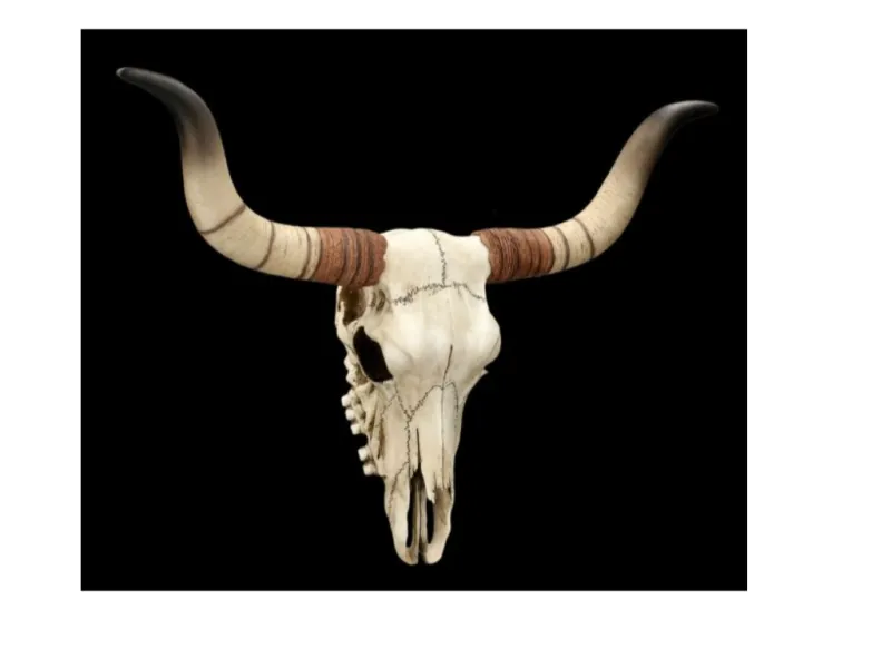 Realistic Decorative Longhorn Cow Skull