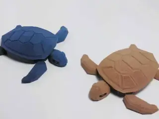 Sea turtle