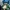 Anime Blue Haired Girl in Green Jumpsuit