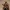 RPG邪悪なレンジャーミニチュア：バルバトス