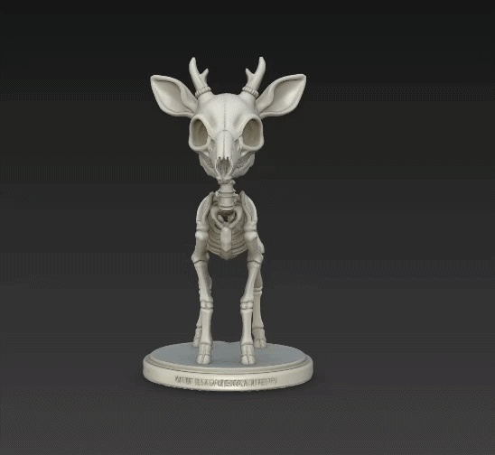 Skeleton Deer Fawn