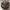 pumpkin_fear