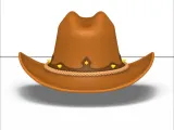 cowboy hat-0