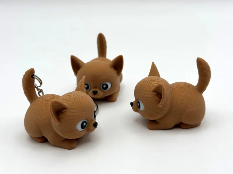Piccolo e tenero Chihuahua con portachiavi