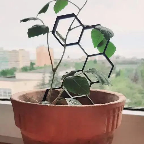 Plant support-trellis