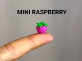 Mini Raspberry-0