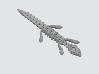 Dead Lizard
