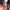 Roscoe – Lewis Hamilton’s Dog 3D Model