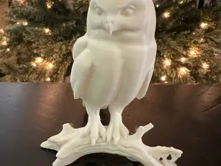 Snowy Owl