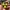 Fallout Nuke symbol, atom bomb icon