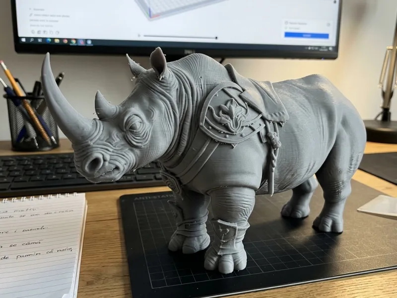 rhinoceros in armor