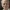 Photorealistic Catholic Pope 3D Portrait Bust