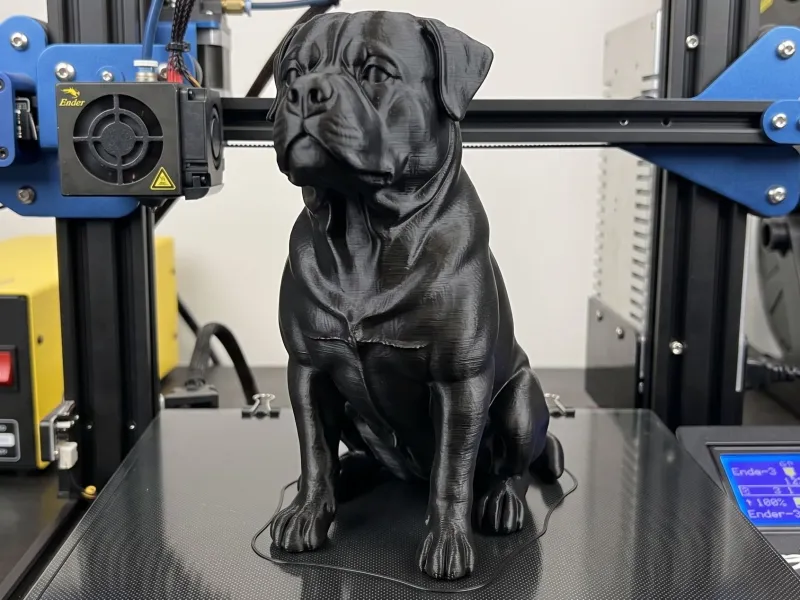 Vaso de flores Rottweiler