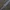 Костяной клинок II Monster Hunter Wilds
