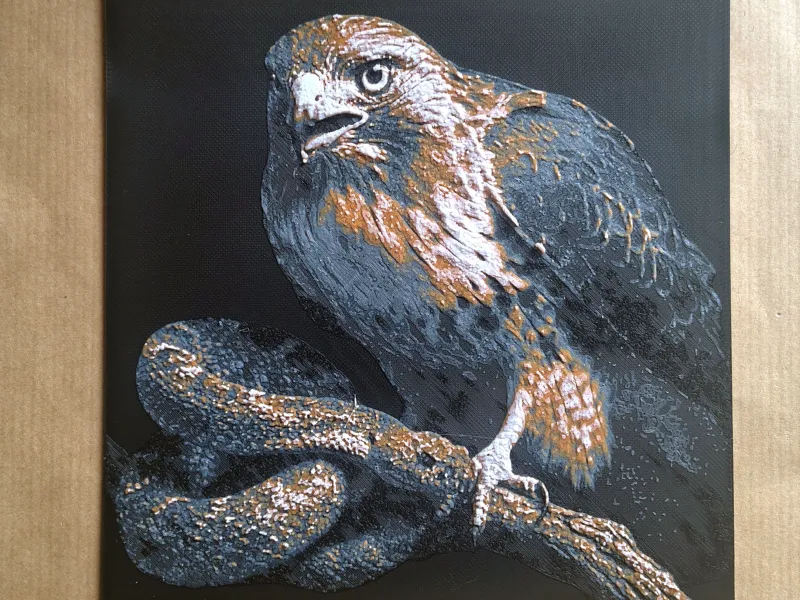 Red-tailed hawk