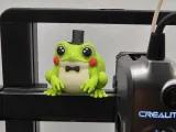 Elegant Frog - [ NO CFS/AMS ]-0