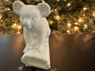 koala