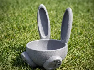 Easter bunny eggs