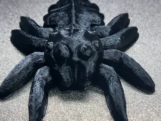 ARTICULATED SPIDER