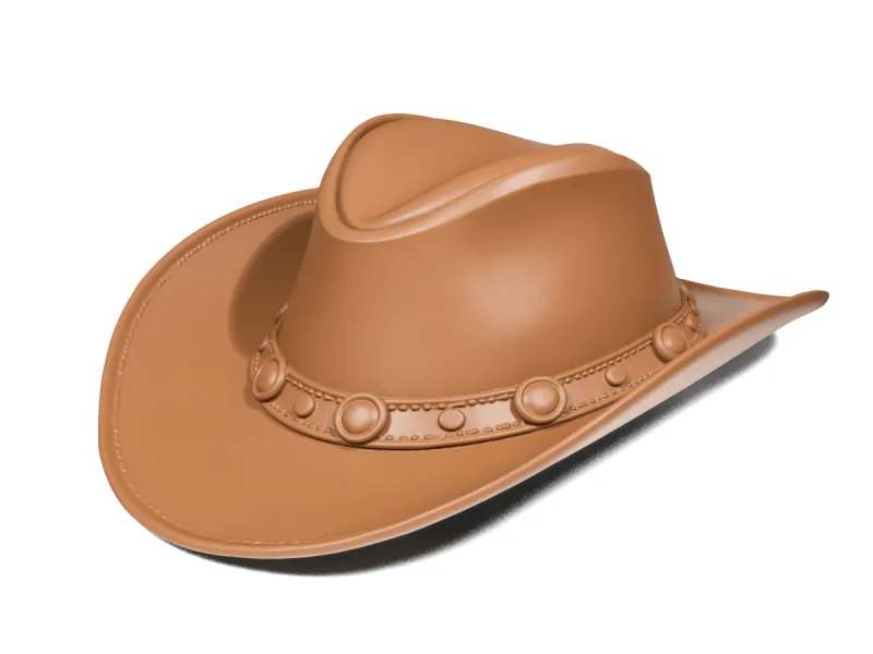 Western hat 2