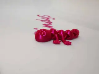 Cute Lizard