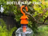 Bottle Wasp Trap-0