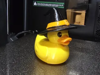 Halloween Duck