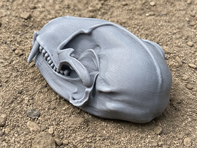 Ankistrodon Skull