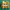 Tails Clicker (Sonic the Hedgehog)