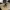 Miniature Piedraca _ 19