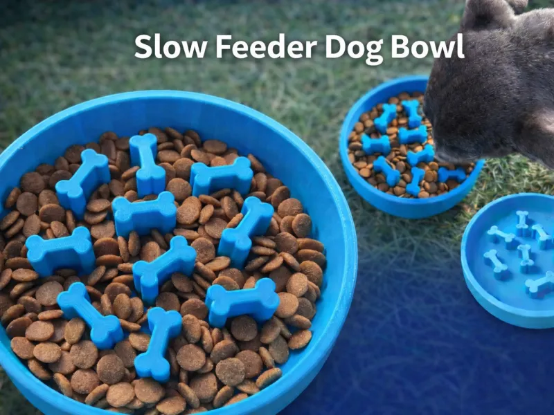 Slow Feeder Dog Bowl