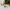 Halloween Pumpkins Set – 7 Funny Faces