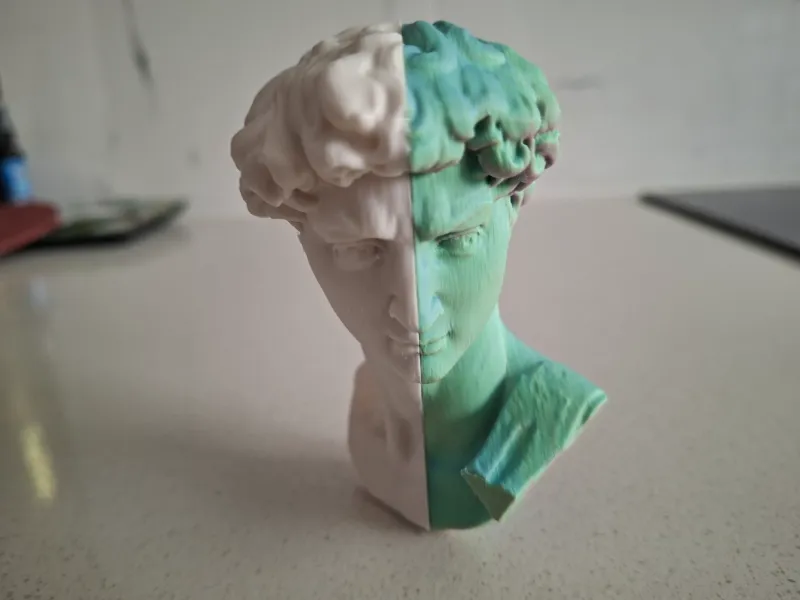 David's Head - 2 color Split