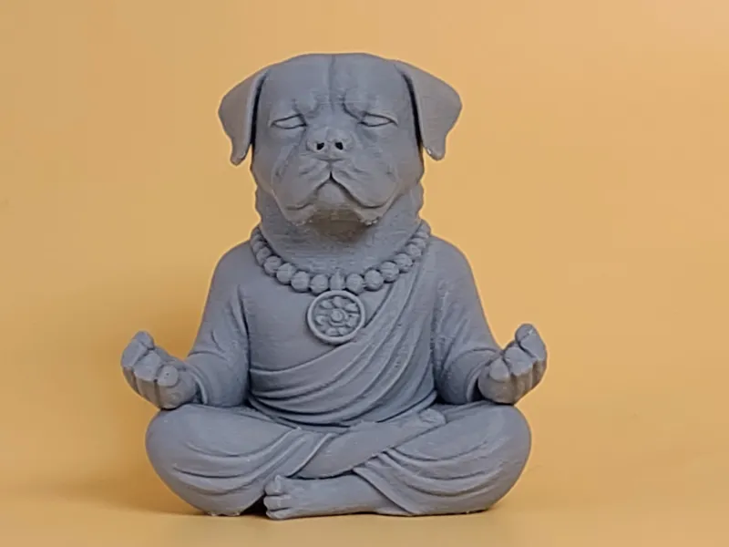 冥想中的罗威纳犬