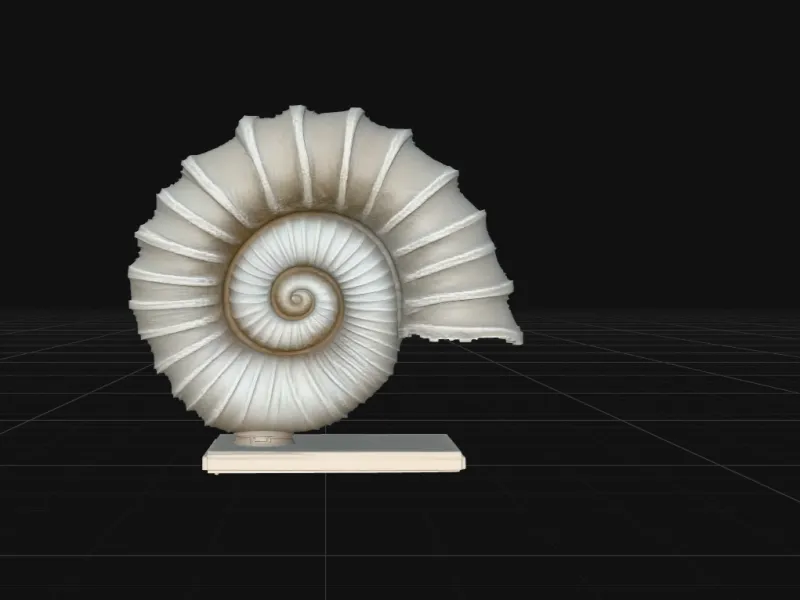 Ammonite Fossil Sculpture – Spiral Nautilus Shell Display |