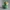 Cyber Duck – Sci-Fi Collectible Rubber Duck